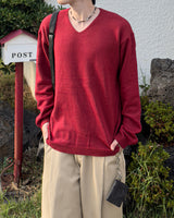 Washable Basic V-neck Knit