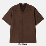 Solar Pleated Half Shirt