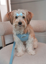 Holiday in paris X type harness (Sky blue)