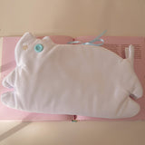 Cat book cover _ salt