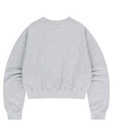 VINTAGE COLLEGE CROP SWEATSHIRT