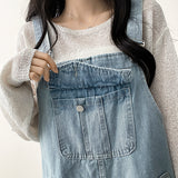Monthly pocket suspender dress