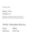 Washed Blue Wide Jean - YW392