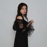 nina sheer dress