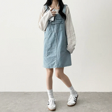 Monthly pocket suspender dress