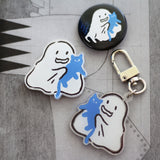 Magnet ghosts and cats