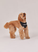 Classic naming bandana (Black)