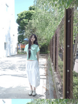 canvas skirt