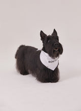 Classic naming bandana (White)