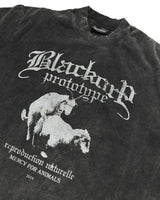 MFA t-Shirts