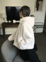 Foaming High Neck Poggle Fur Hooded Jacket (3c)