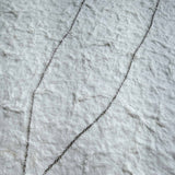Silver Charm Horseshoe Necklace
