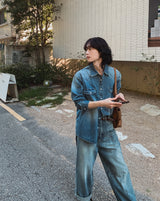 Flood cat brush western denim shirt