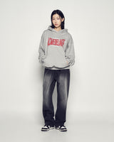 25FW DOUBLE LAYER LOGO HOODIE MELANGE