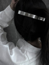 matte stainless steel clip