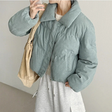 Poin Golden Short Padding 