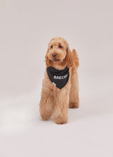 Classic naming bandana (Black)