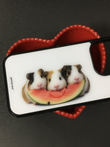 watermelon guineas pig case 