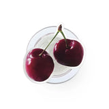 [SET] Hard Cherry Case (hard)_MagSafe + Hard Cherry Tok_MagSafe