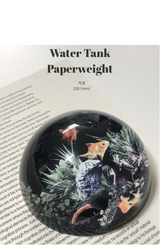 Fishbowl Dome Paperweight