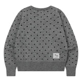 グレインRネックドットニットカーディガン (2COLOR)