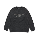 25FW ベーシックロゴニット チャコール