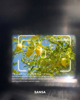 Lemon Field_Silver iPhone Galaxy Case(Basic)