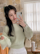 Pastel Crop Round Loose Knit (6color)