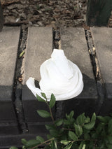 ソフトドットスカーフ (white)