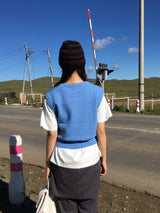Multiple Crewneck Vest (3color)