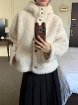 Foaming High Neck Poggle Fur Hooded Jacket (3c)