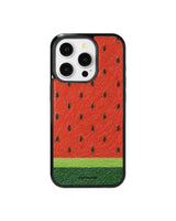 Watermelon Epoxy Silver Case