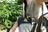 ドットシースルーTシャツ