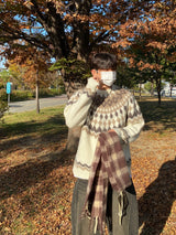 モヘアノルディックニット (4color)
