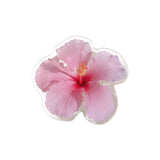 Hibiscus Tok