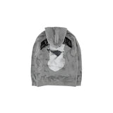 Damage over hood (GRAY)