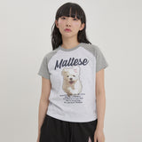 グルム イラスト ラグラン ハーフスリーブ Tシャツ