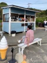 ロマチェックショートスリーブシャツ