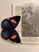 Butterfly Pouch