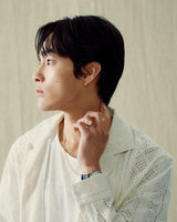 Stranger Classic Fit Lace Shirt (Cream)