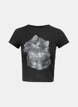 Gaze Cat Short Sleeve T-shirt