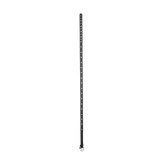 デイジーアイレットベルト (2 colors)