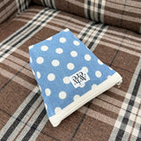 classic pouch_dot denim light