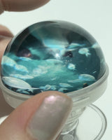 [my little aquarium tok]