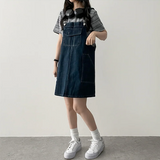 ロビンカラーストライプダンガラ半袖Tシャツ