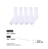 [5PACK] 1507 クラシックダブルアスレチックソックス_スノホワイト (Men's)