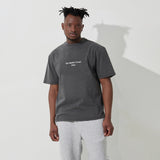 Silver door Pigment T-shirt (Gray)