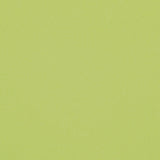 アドアホルタートップビキニセット [lime]