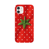 トマト 🍅