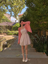 Heart Shirring Bische Mini Dress